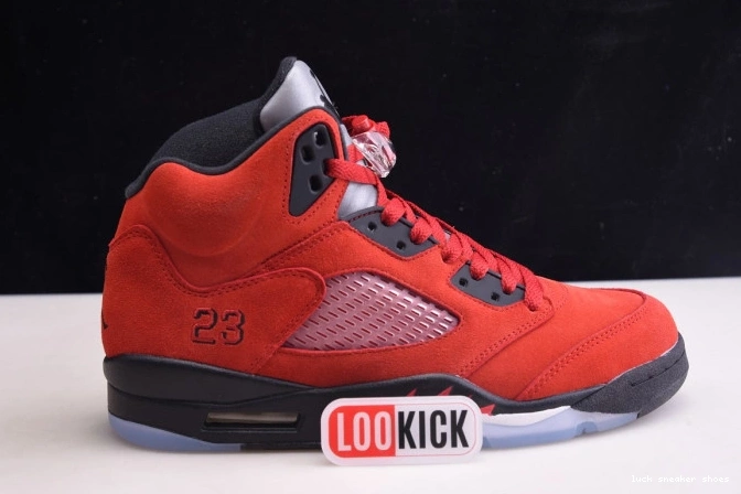Cheap LUCY DD0587-600 Raging Red (2021) Bulls 5 Retro Jordan 0821